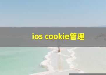 ios cookie管理